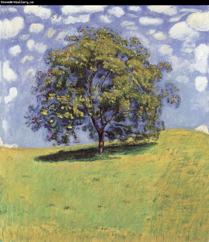 Ferdinand Hodler The nut tree